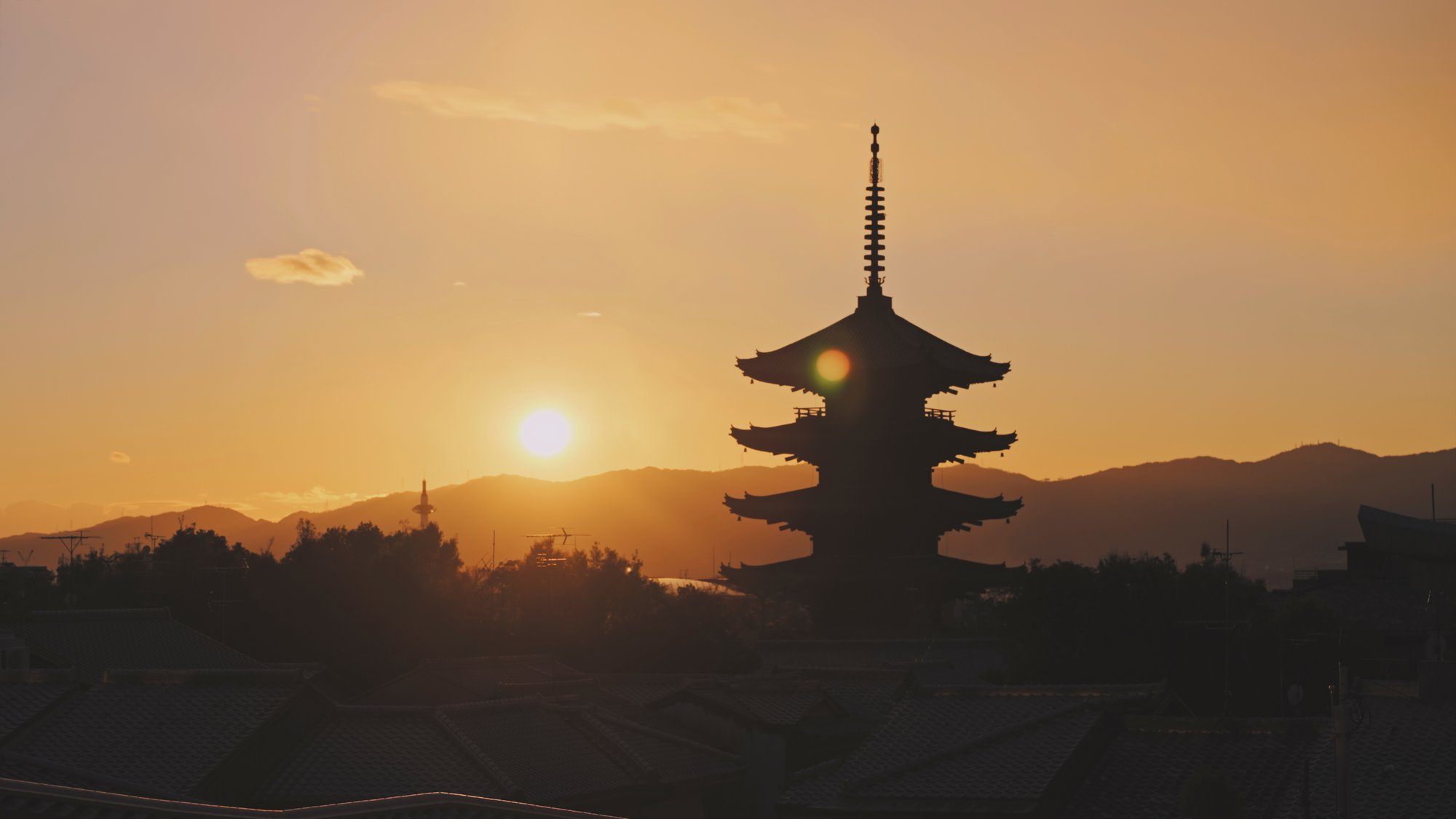 ゼネック 沿革